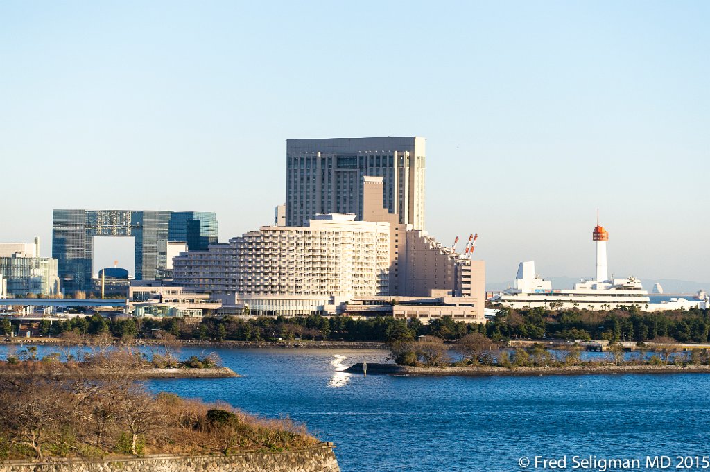 20150311_170924 D3S.jpg - Views of Tokyo from harbor, leaving Tokyo